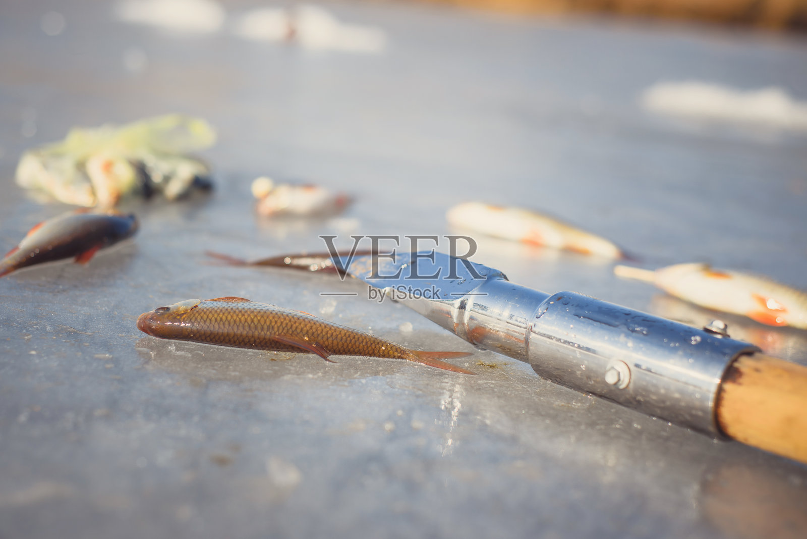 冬天钓鱼，钓鱼，霜冻和阳光照片摄影图片