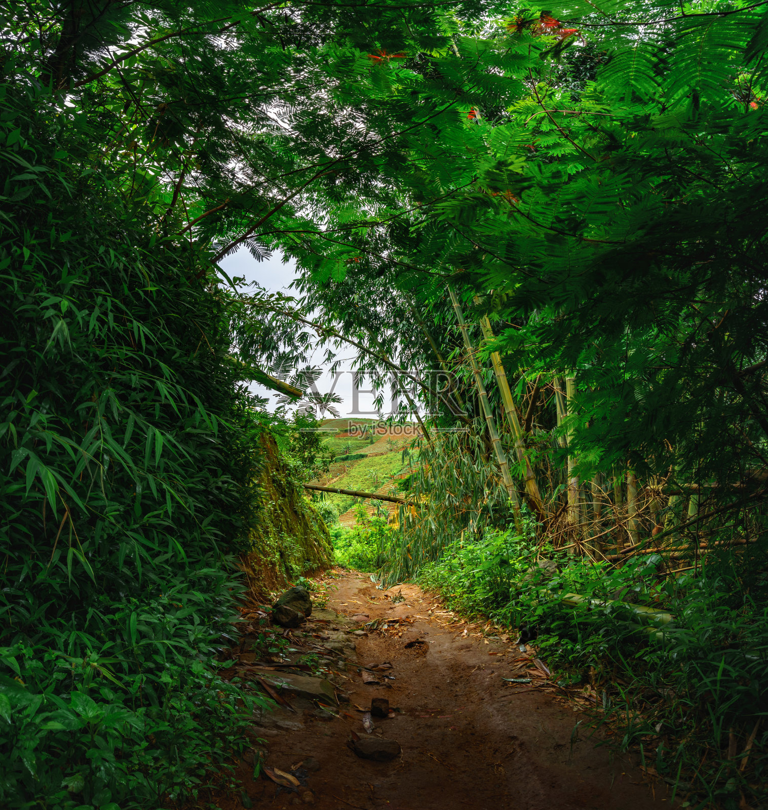 西爪哇岛的西雷迈山与自然照片摄影图片