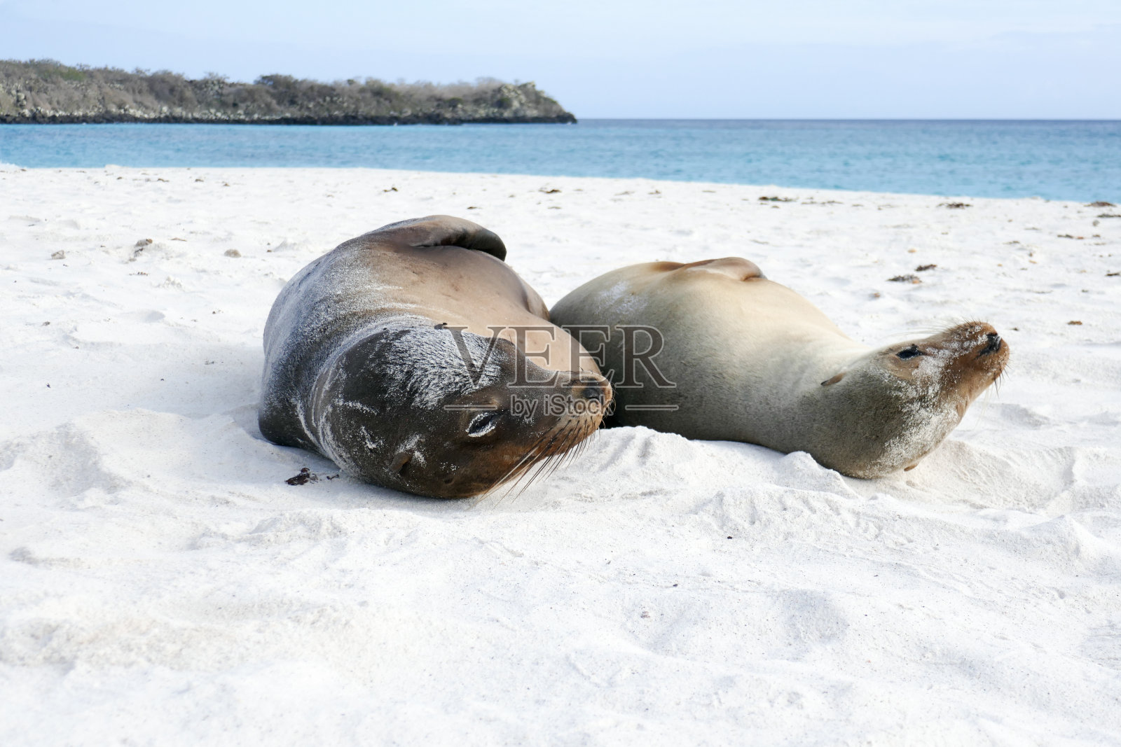 园丁海滩，西班牙诺拉，加拉帕戈斯群岛照片摄影图片