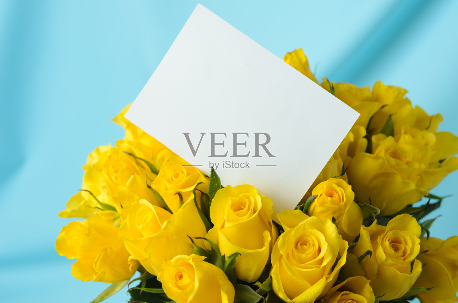 一大束精致的黄色玫瑰，蓝色波浪背景上的白色贺卡，还有一个复制空间照片摄影图片