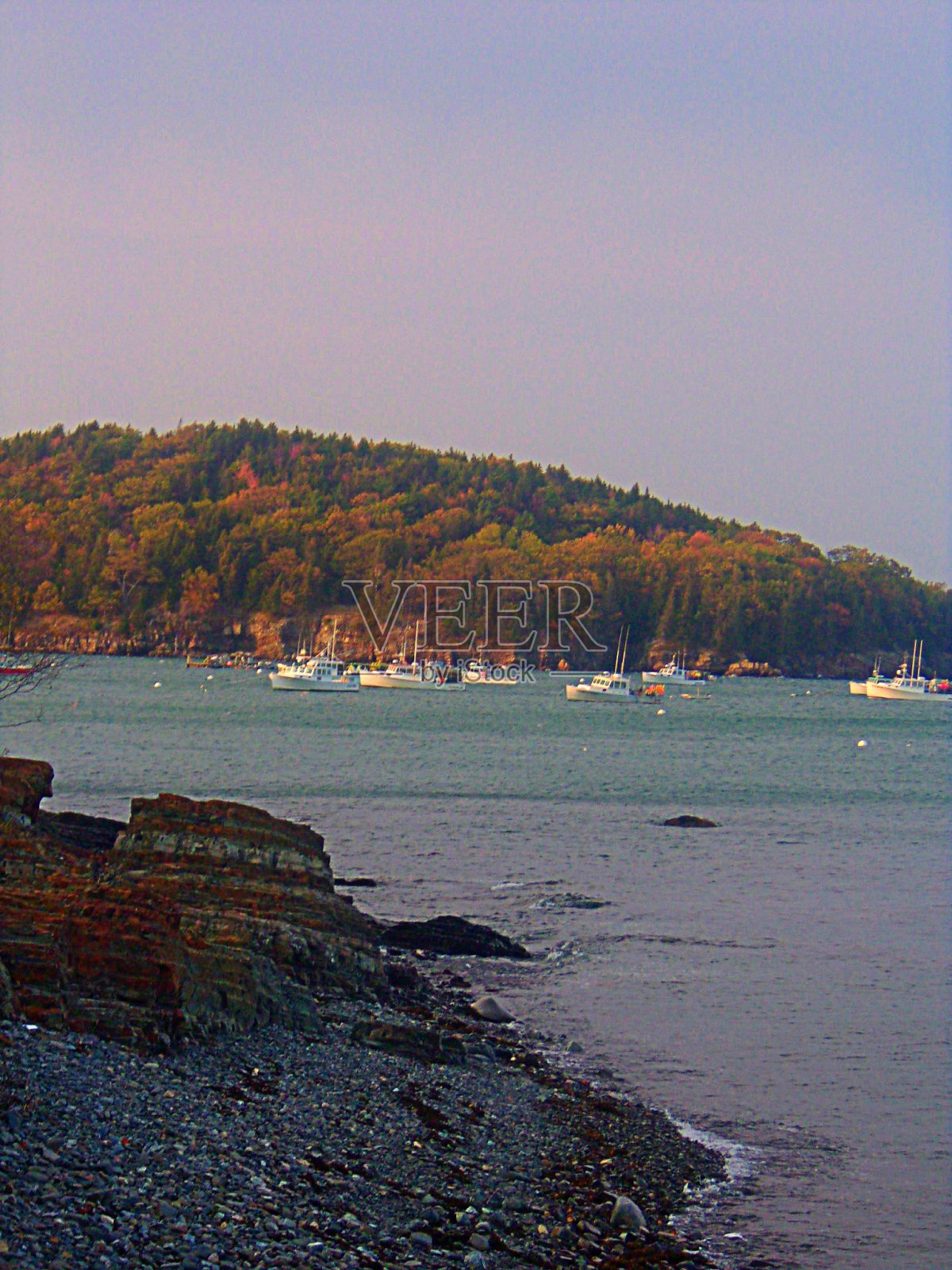 岸路照片摄影图片