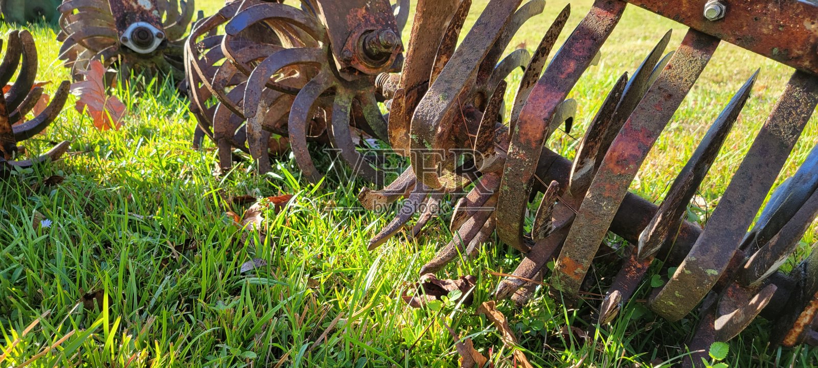 关闭古董花园tiller照片摄影图片