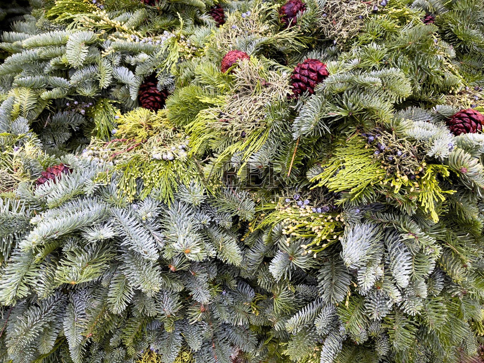 一堆常绿花环照片摄影图片