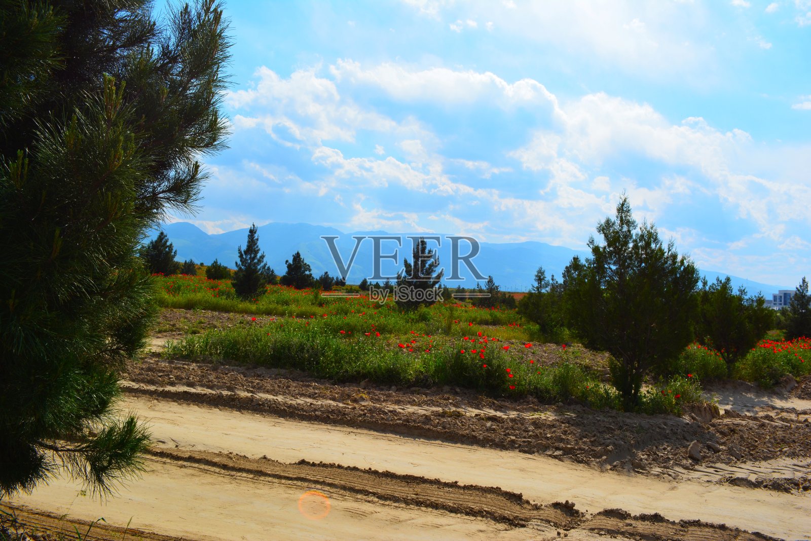 科佩特达格山脉附近的田野照片摄影图片