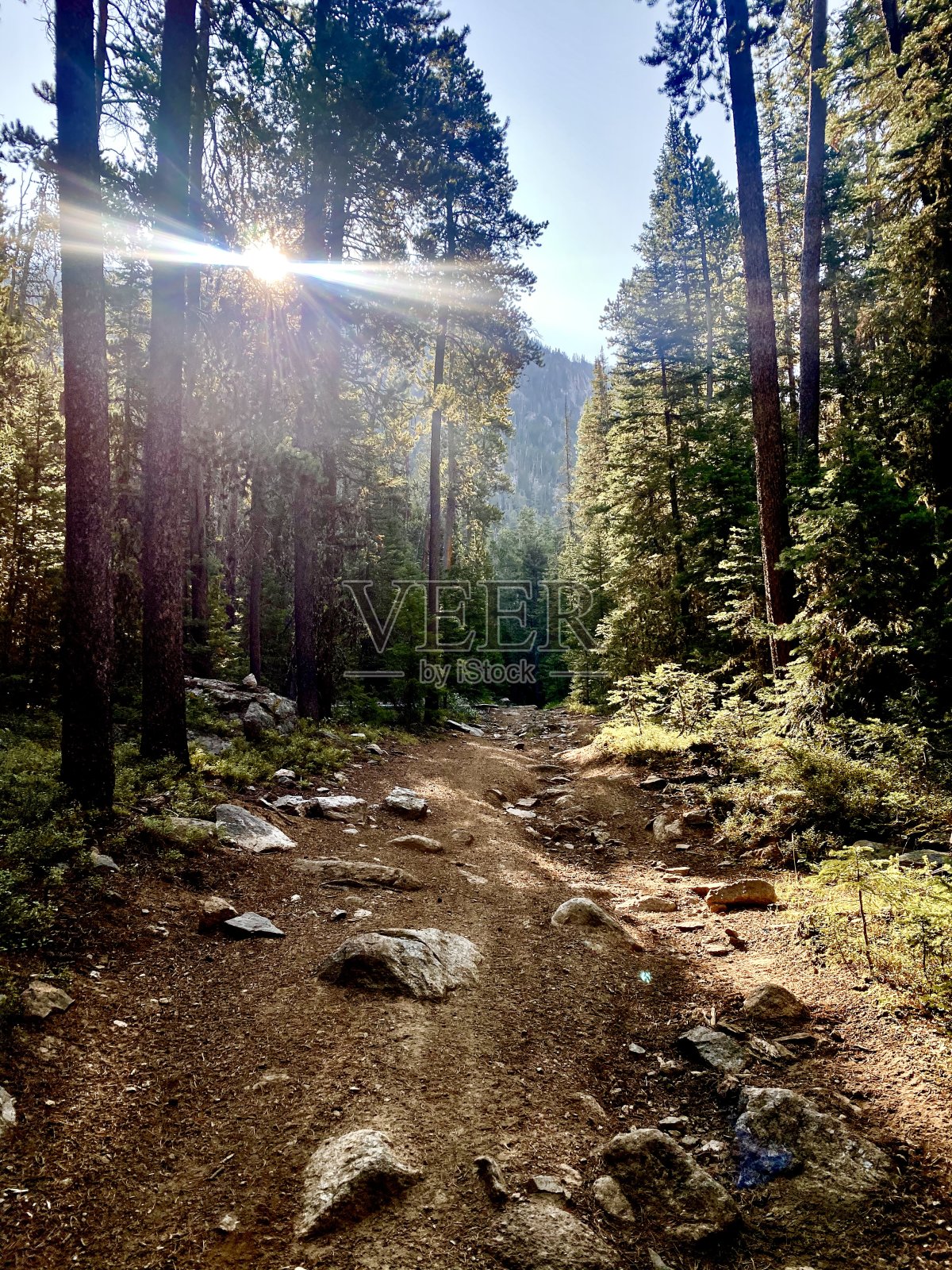 小径照片摄影图片