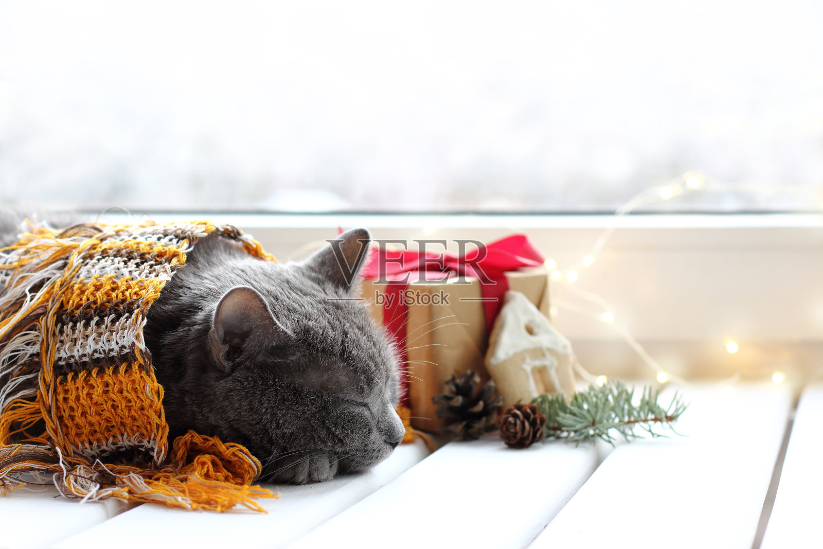 节日装饰中的小家虎照片摄影图片