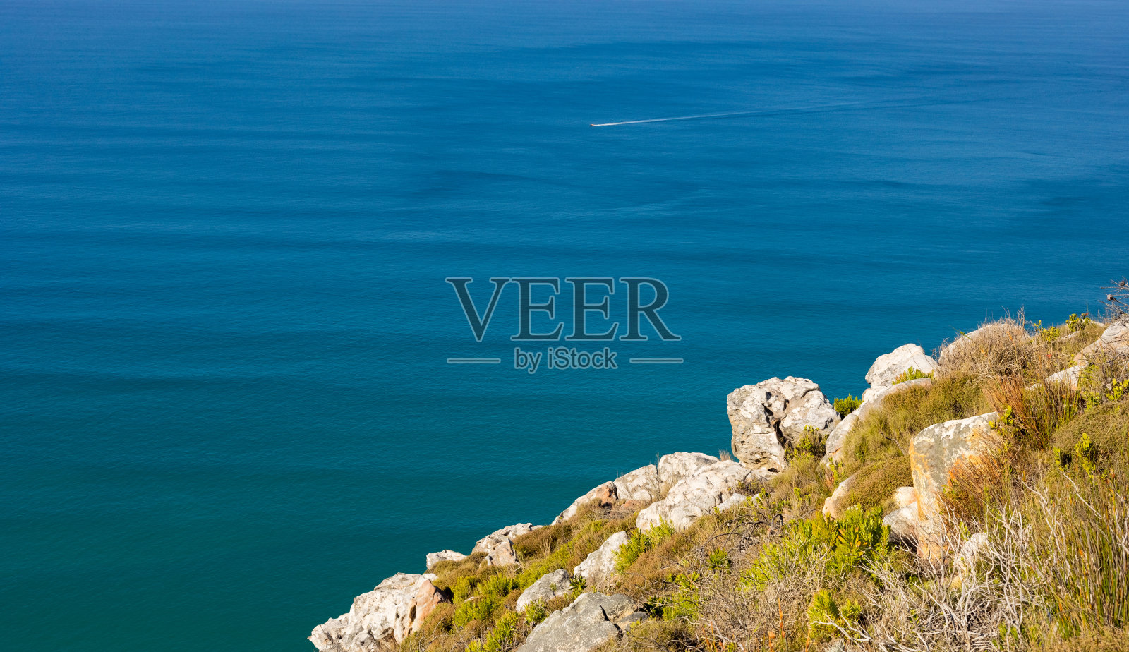 开普敦的沿海山地景观和菲恩博斯植物群照片摄影图片