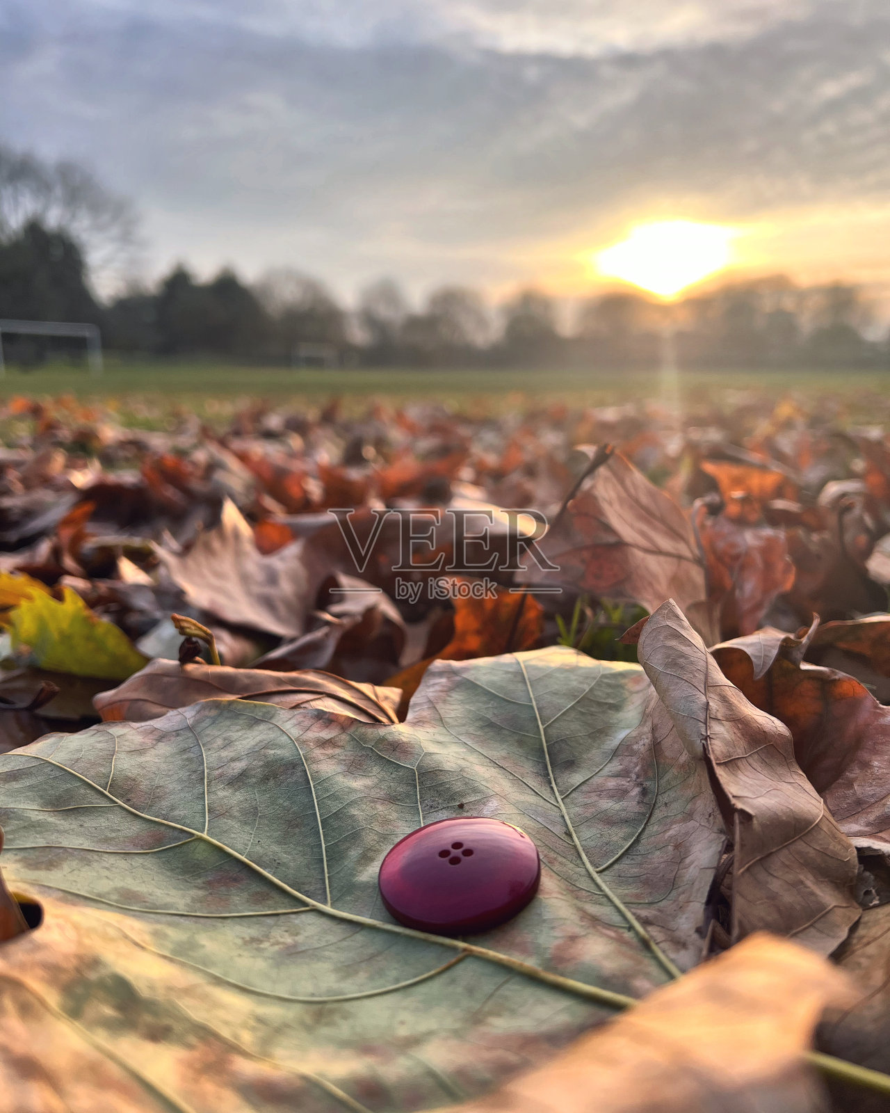 按钮照片摄影图片