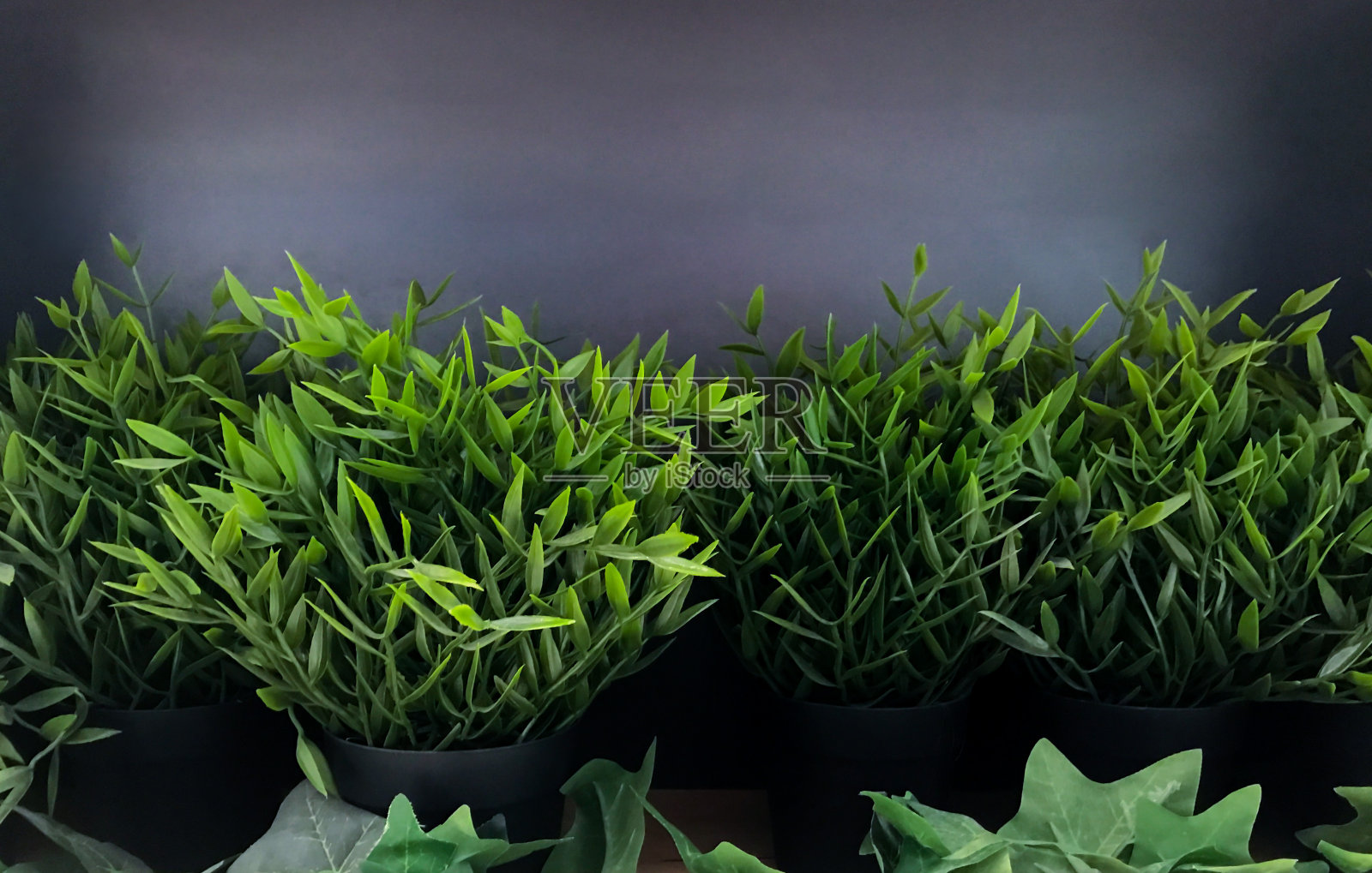 人造草和缠绕草靠着黑色的墙壁，为文字留出空间照片摄影图片