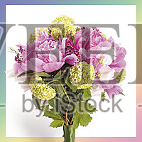 创意简约清晰花公众号次图设计模板素材