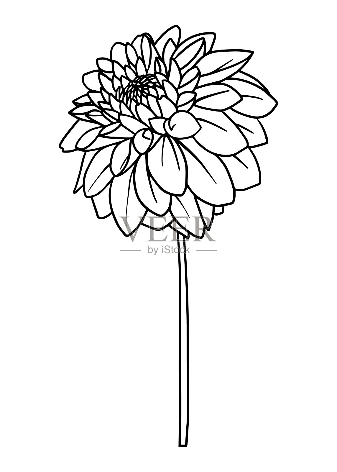 大丽花的轮廓图。向量孤立的剪纸艺术。插画图片素材