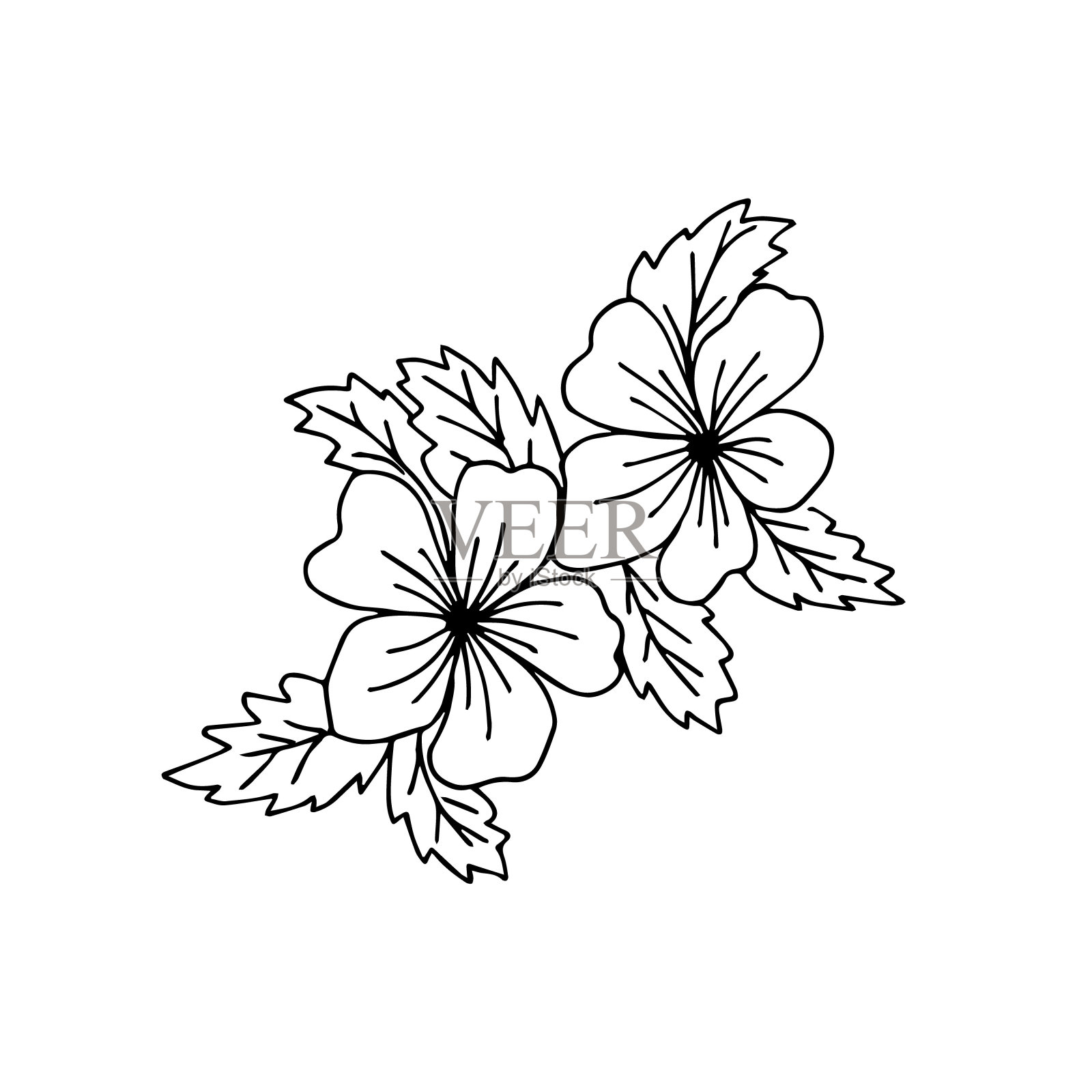 手绘插花的涂鸦或素描风格插画图片素材