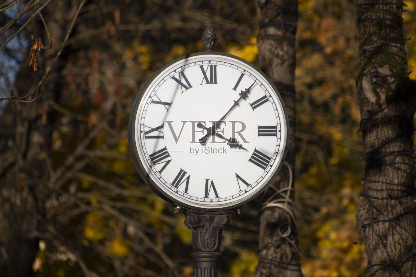 公园里的街道时钟照片摄影图片