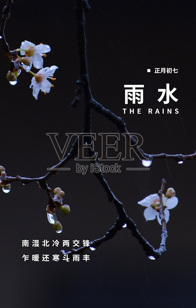 创意简约清晰雨水节气手机海报设计模板素材