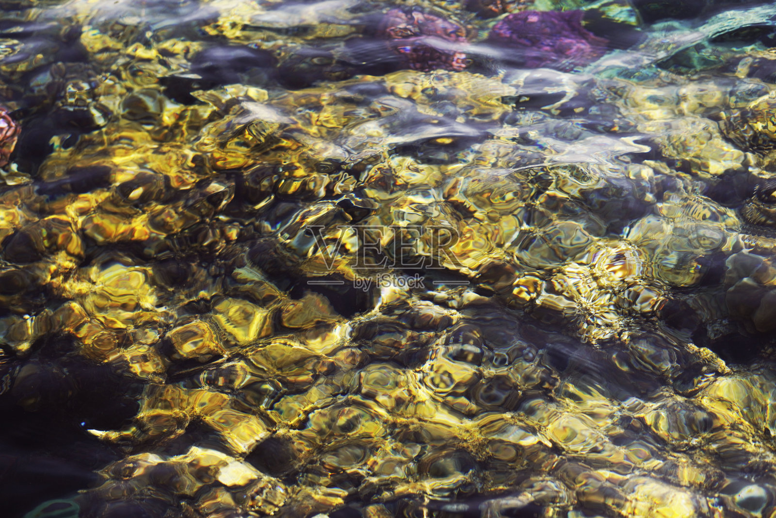 抽象蓝色清水背景：红海海底美丽的彩色珊瑚礁照片摄影图片