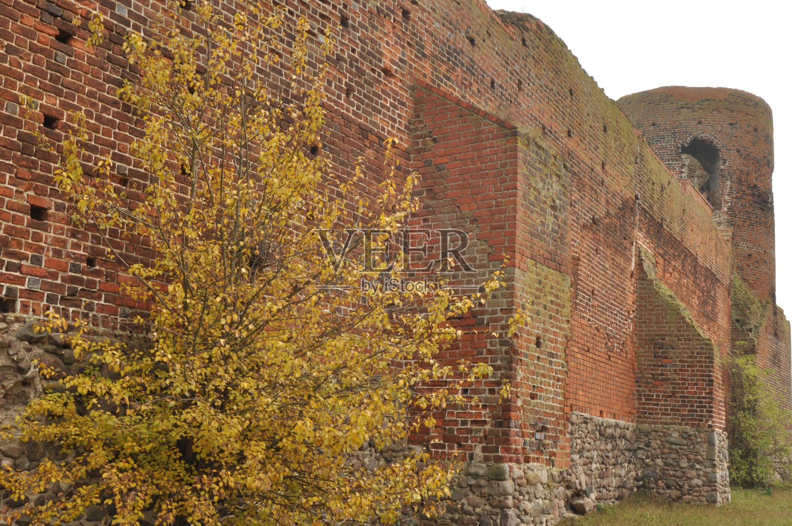 古堡废墟。瓦塔河岸边的红砖塔和防御墙被摧毁。照片摄影图片