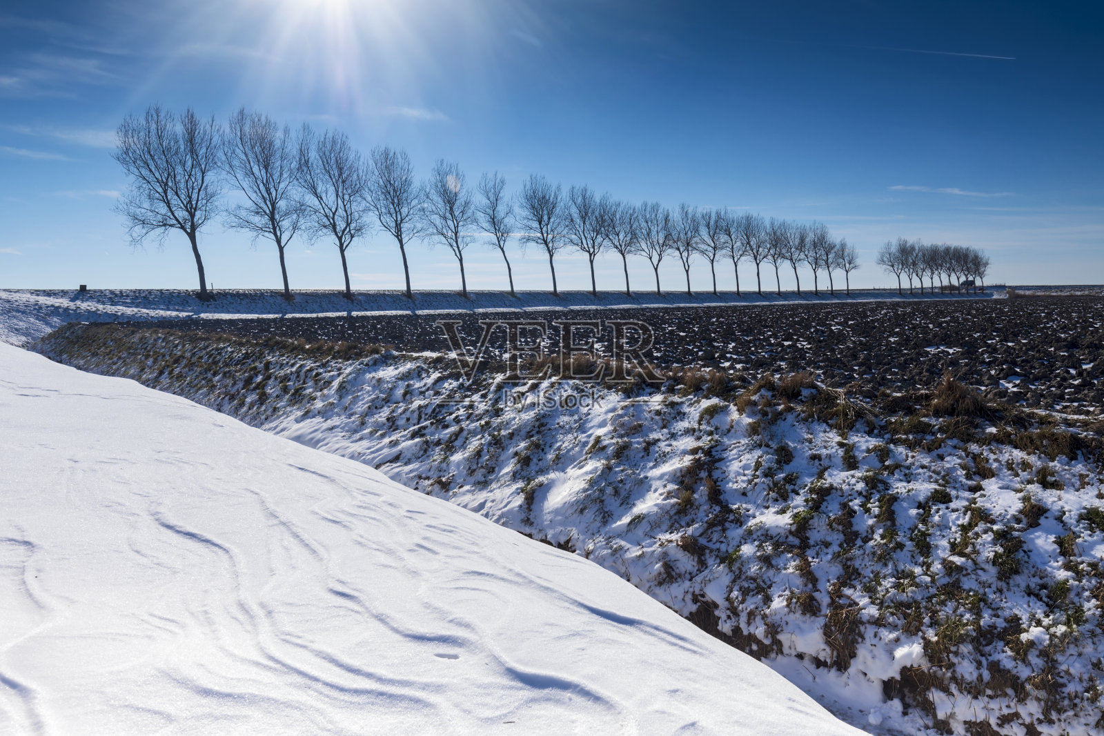 荷兰泽兰省的冬季景观，积雪覆盖的田野照片摄影图片