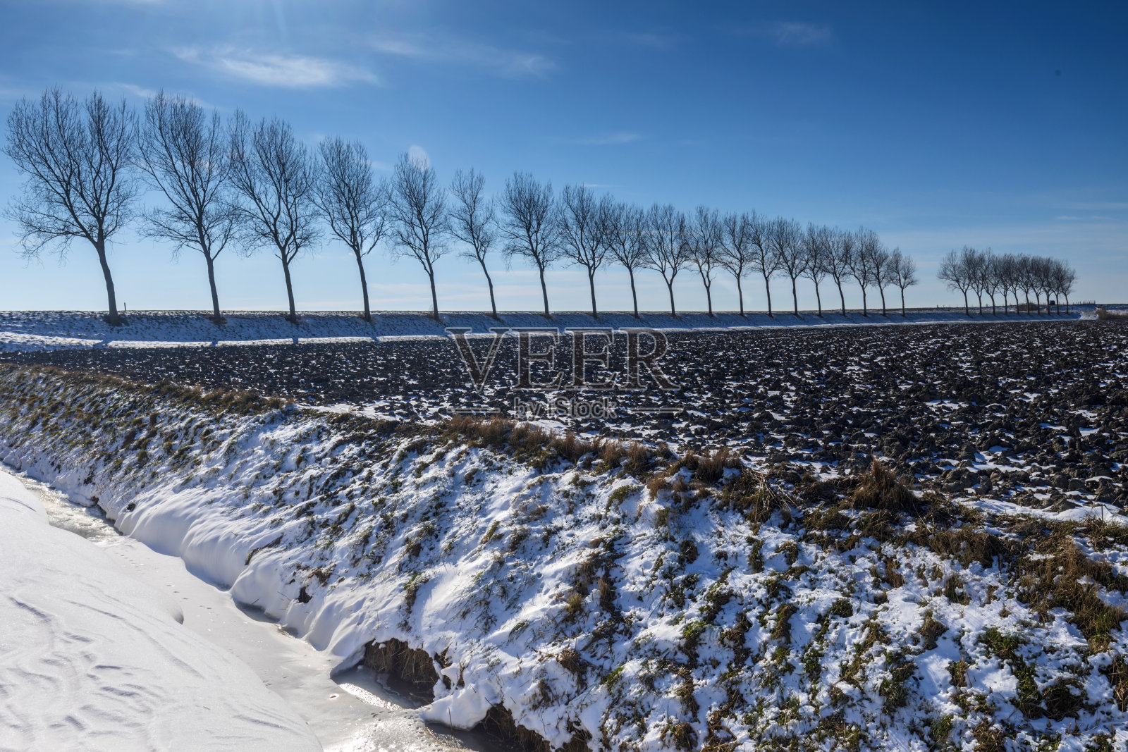 荷兰泽兰省的冬季景观，积雪覆盖的田野照片摄影图片