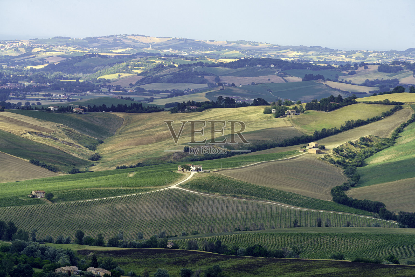 意大利Marche的Ostra Vetere和Cingoli附近的乡村景观照片摄影图片