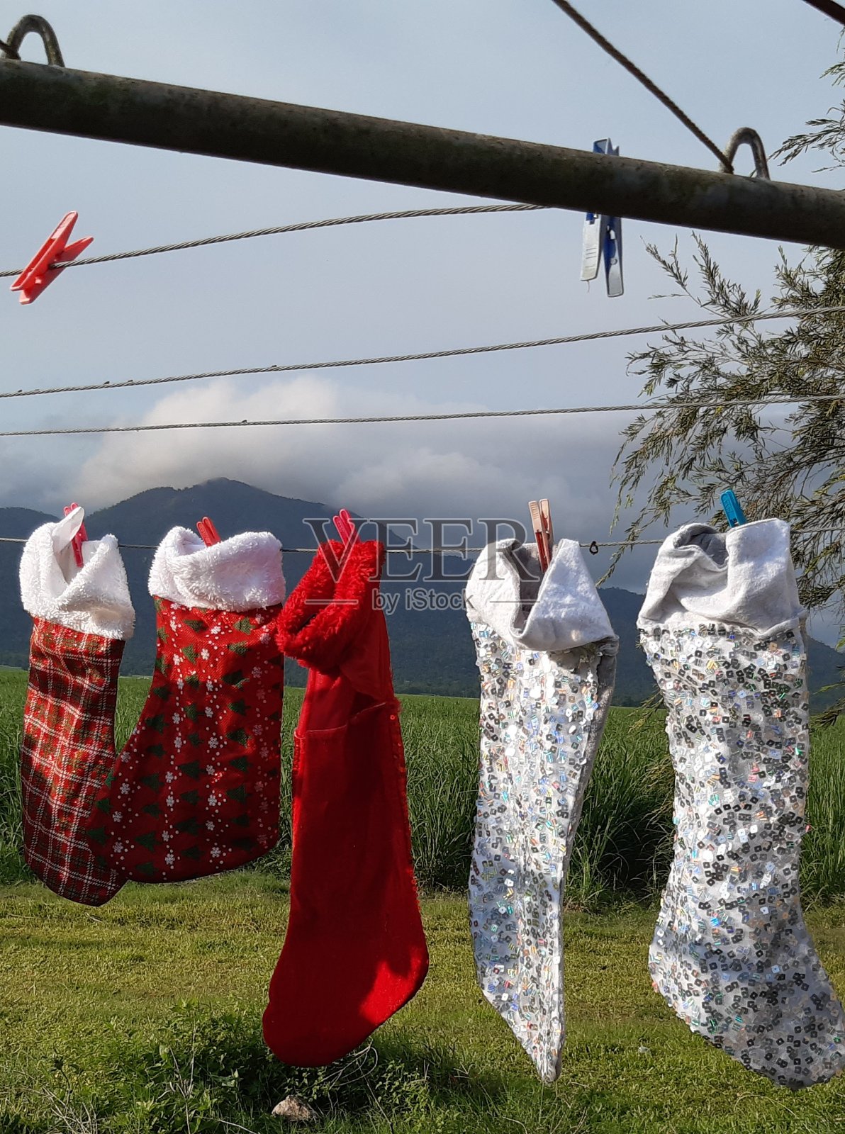 圣诞节洗袜子日照片摄影图片