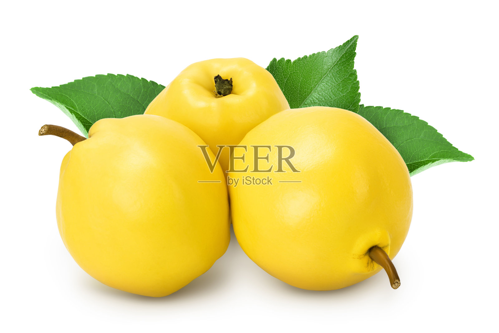 新鲜的榅桲孤立在白色背景与修剪路径和全景深照片摄影图片