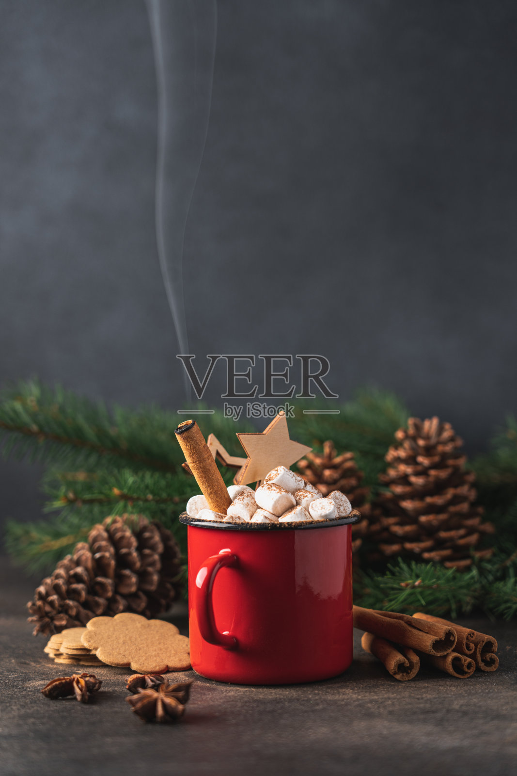 一杯加棉花糖的热可可照片摄影图片