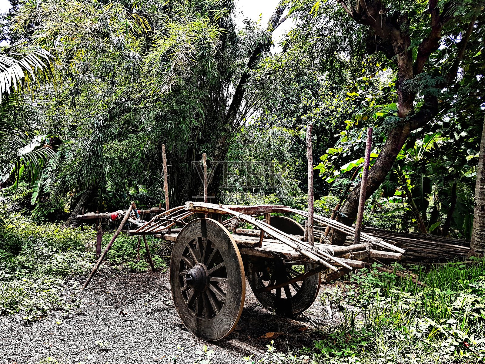 马哈拉施特拉村的古董传统印度车照片摄影图片