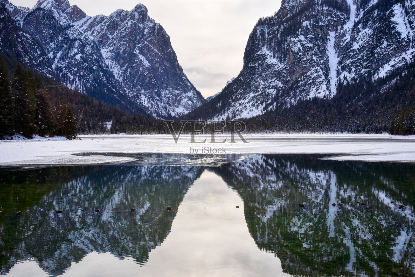 反映了照片摄影图片