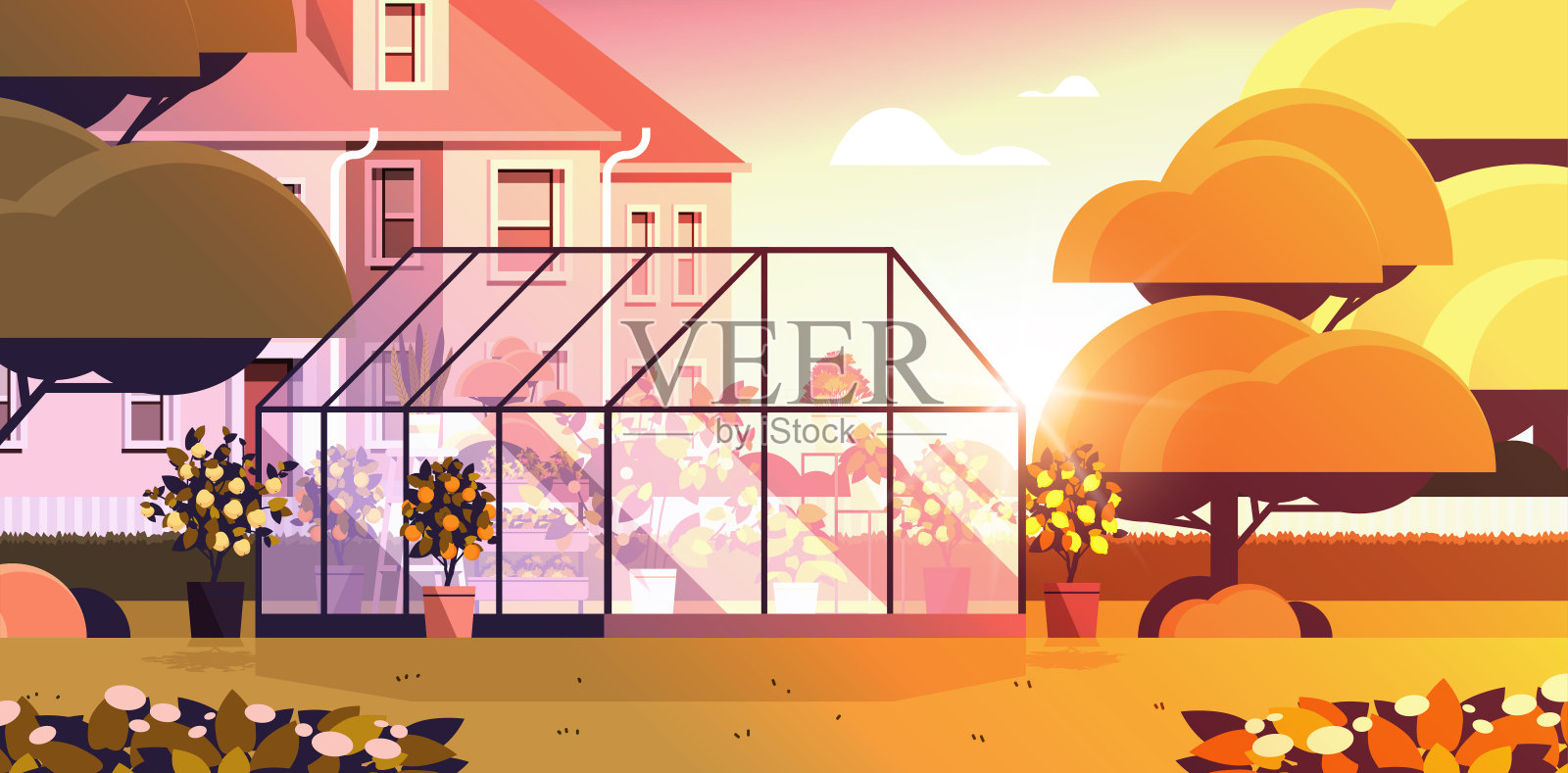 后院种植大棚玻璃橘园，园内有花卉和盆栽植物插画图片素材