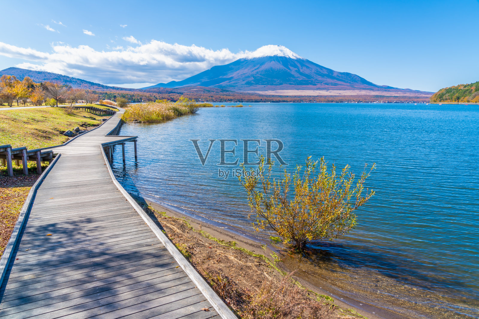 山中湖和富士山照片摄影图片