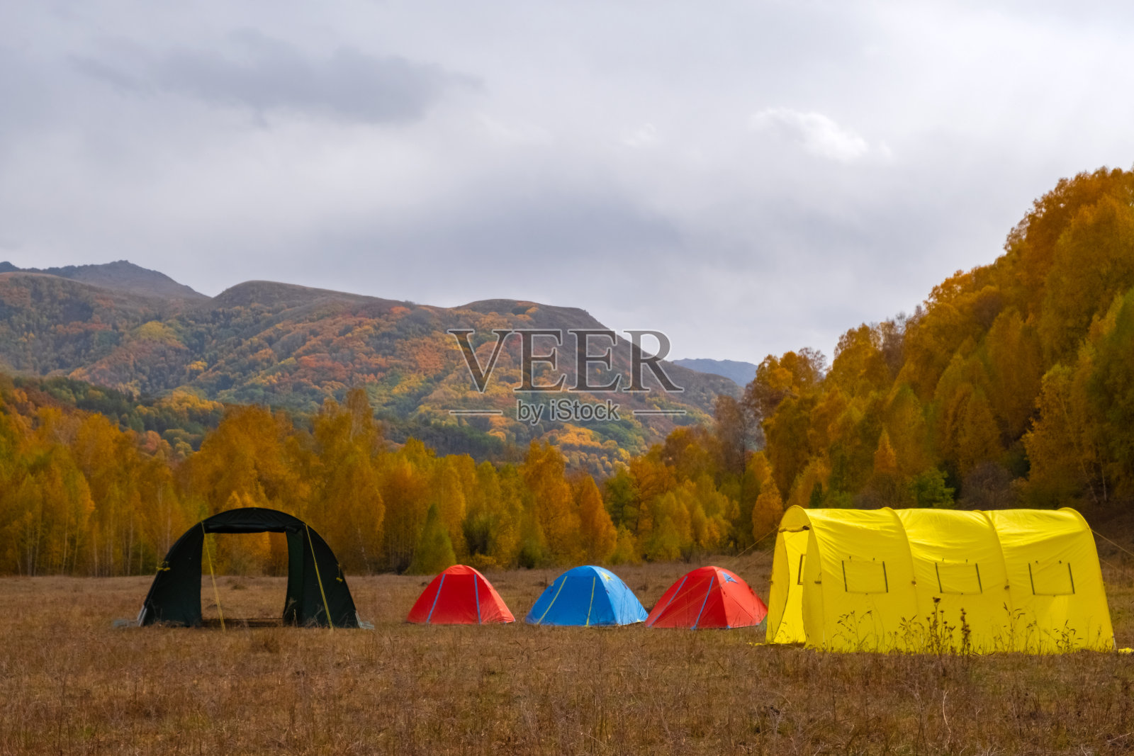 秋天，五颜六色的帐篷和美丽的橙色森林搭在一起。照片摄影图片
