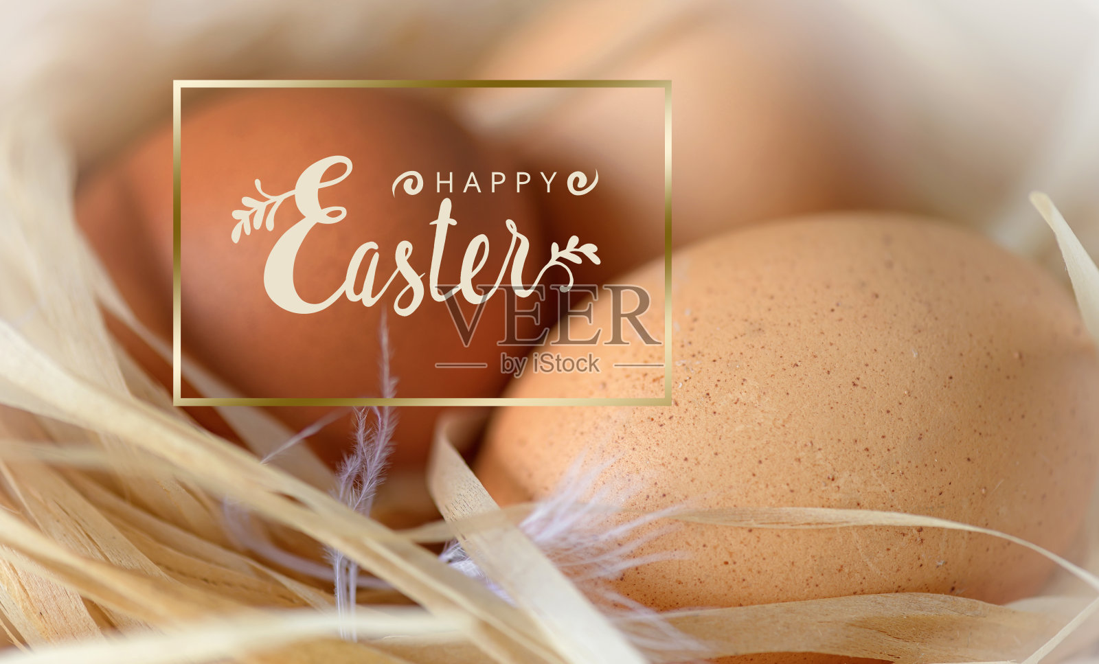 复活节快乐的信，新鲜的鸡蛋在巢里照片摄影图片