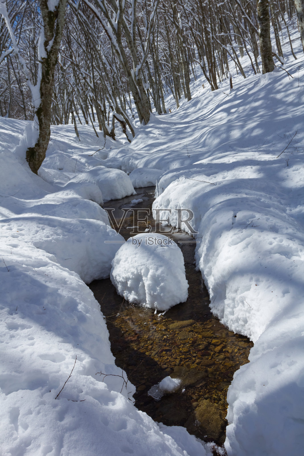 冬天的河照片摄影图片