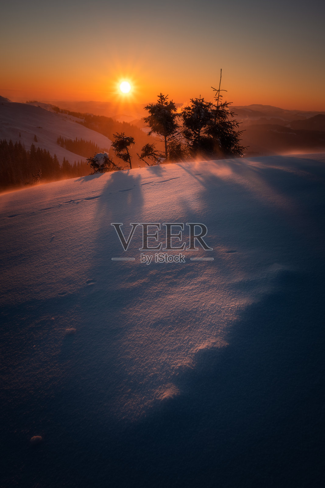 暴风雪期间山上美丽的冬季日出，山脊上有一些小松树和美丽的金色照片摄影图片