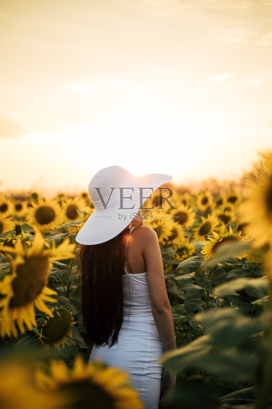 漂亮的女人照片摄影图片