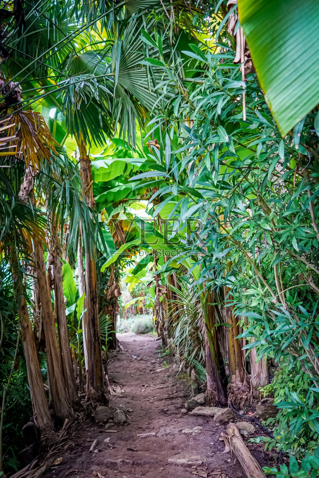 La roque - gagac的地中海花园。多尔多涅河。法国。2021年10月照片摄影图片