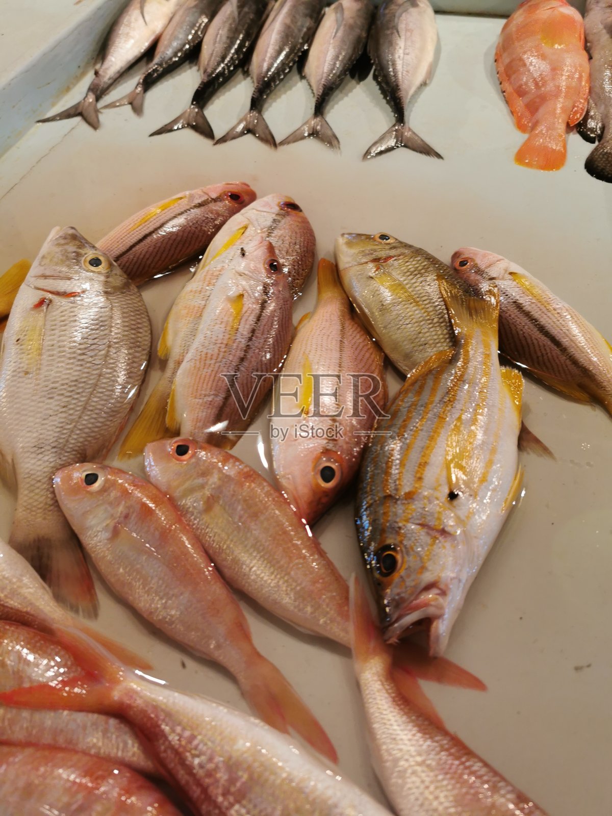 在传统市场上出售的鲜鱼照片摄影图片