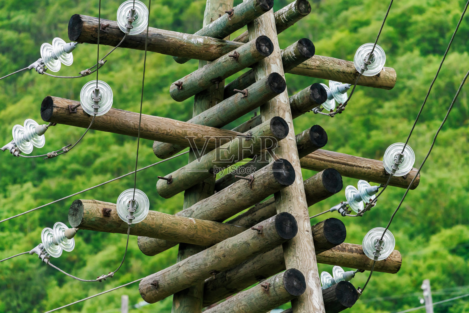 波兰电讯报照片摄影图片