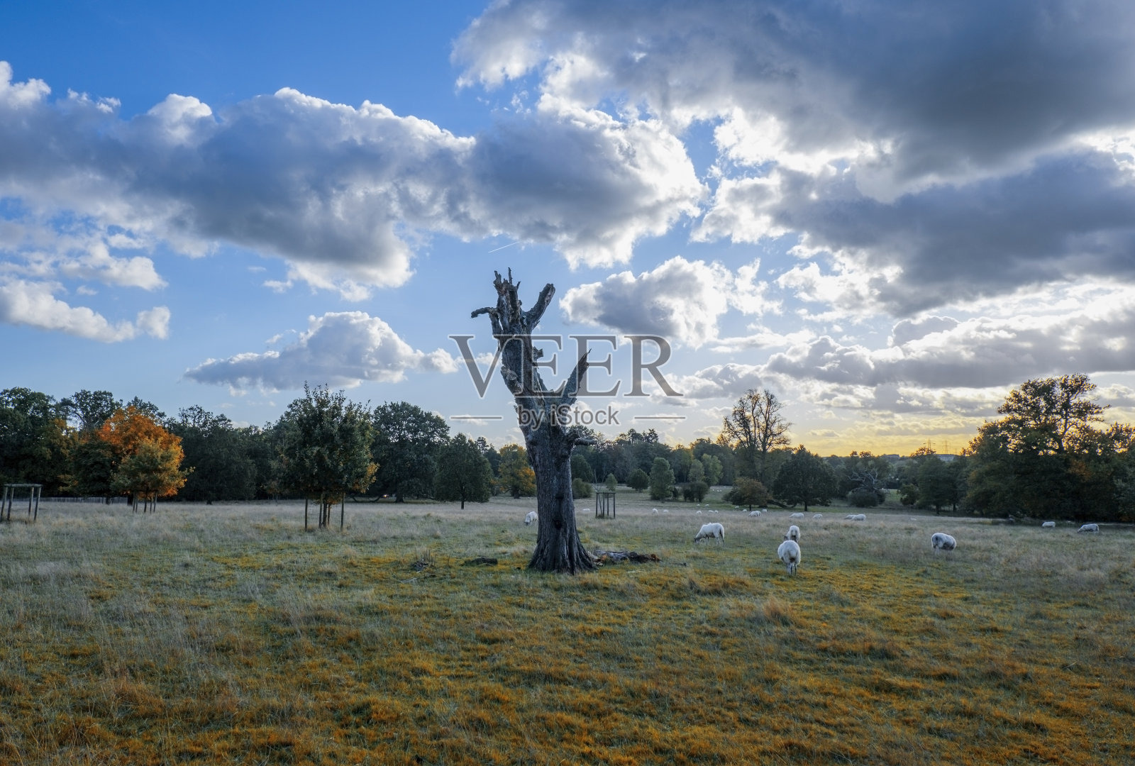 步行步道秋秋自然户外景观环境优美照片摄影图片