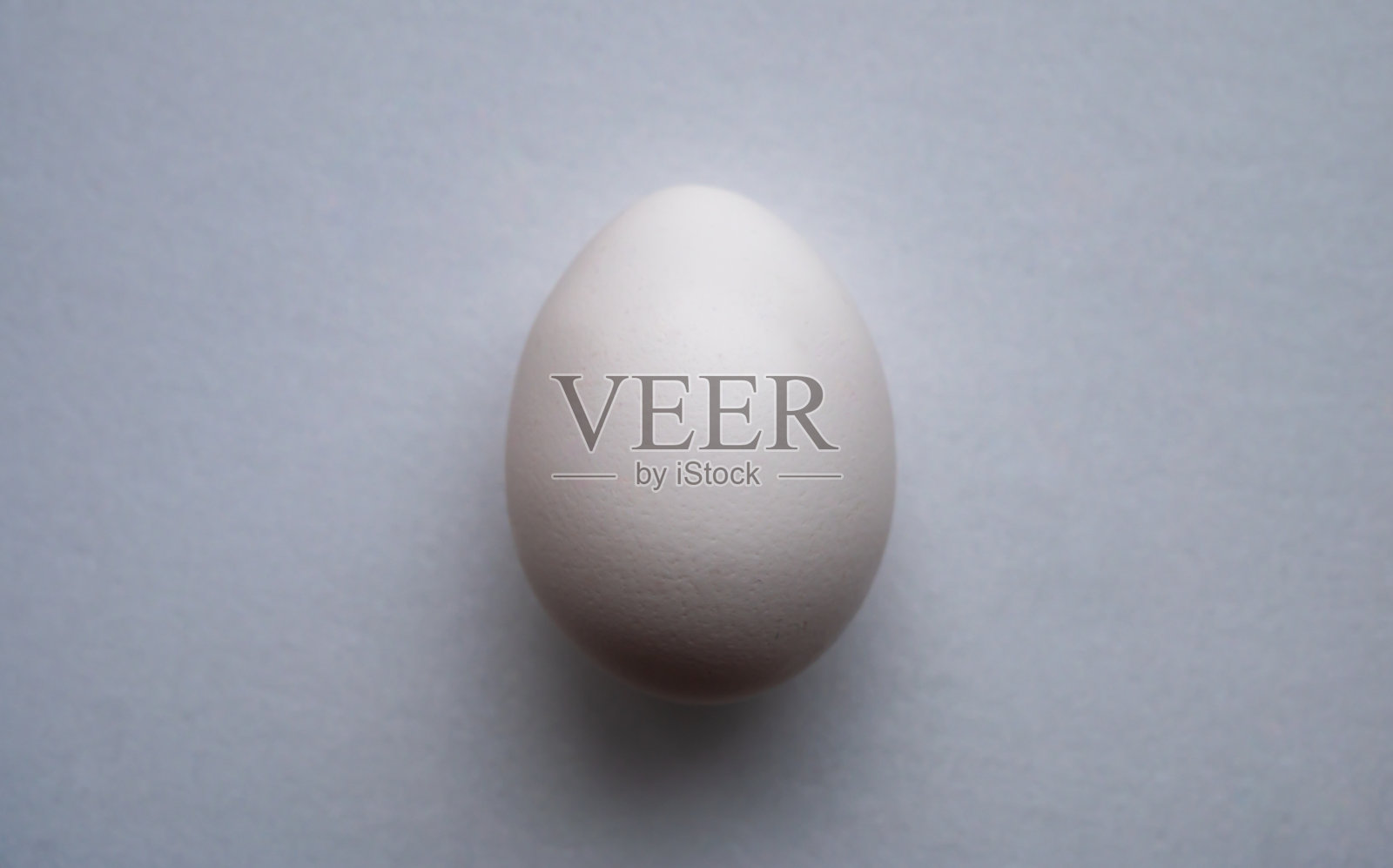 蛋照片摄影图片