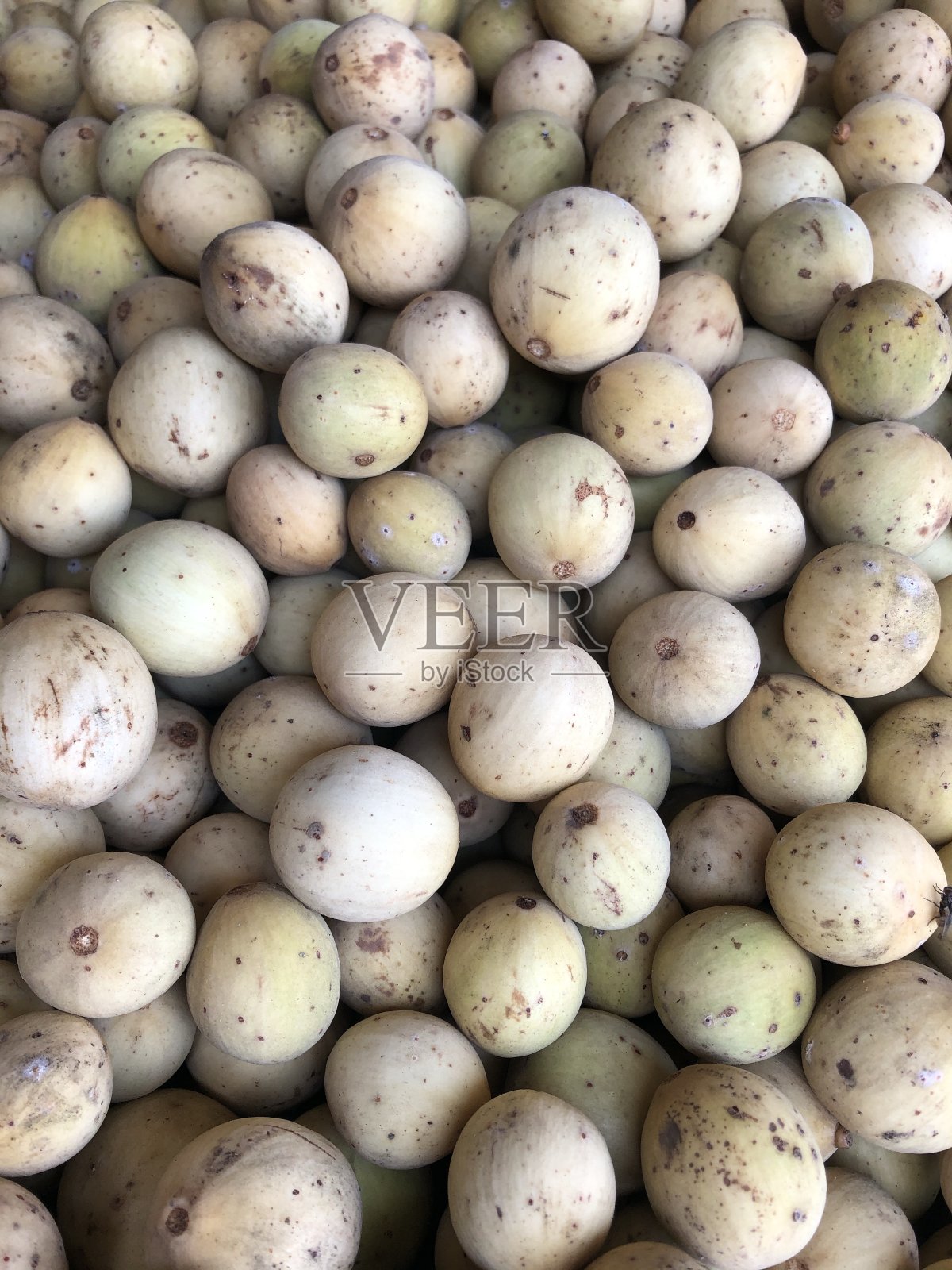 朗萨特或兰佐斯照片摄影图片