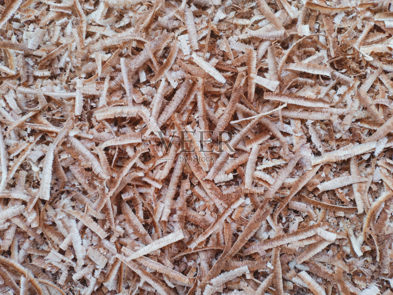 锯末照片摄影图片