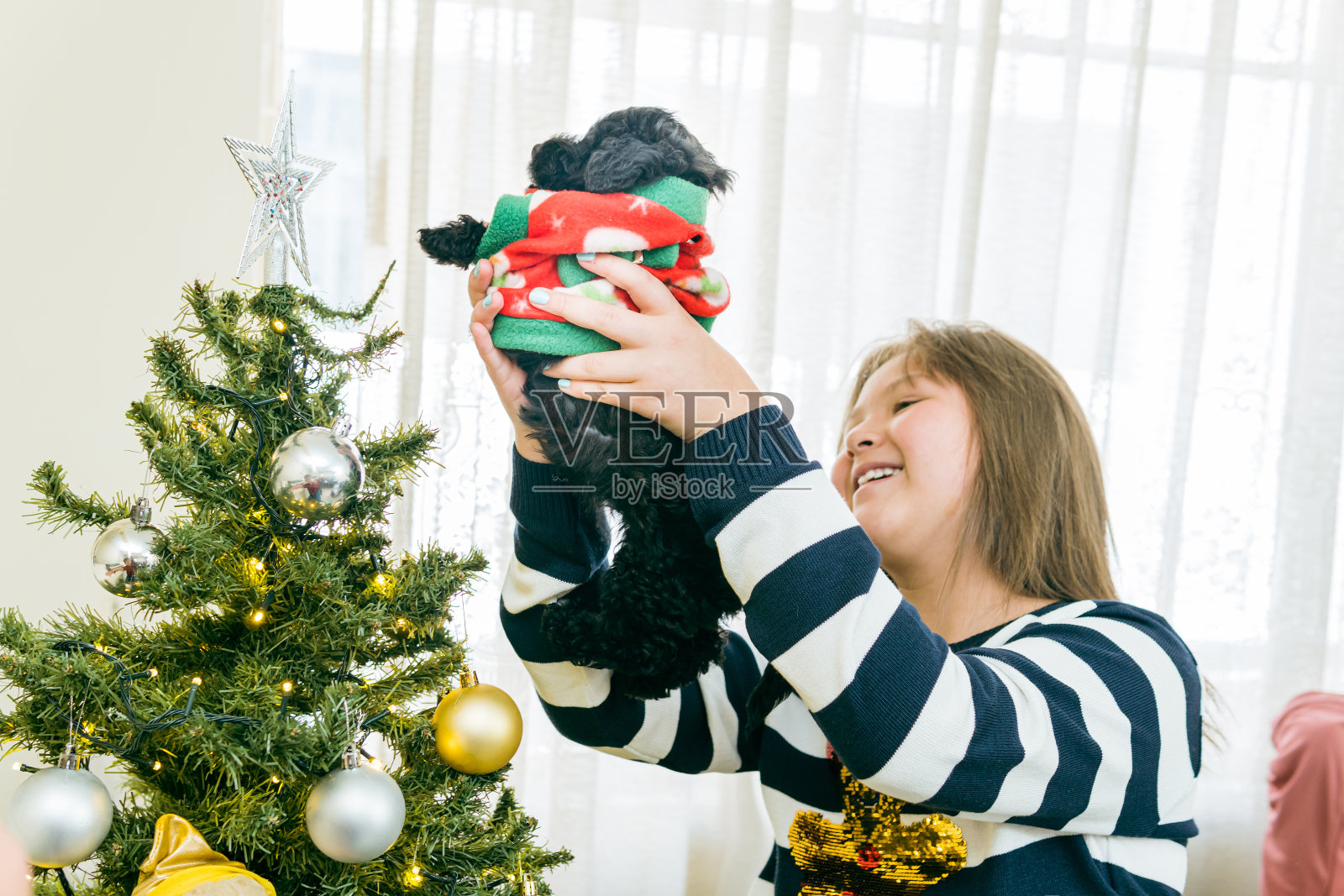 小女孩微笑着抱着一只小狗在圣诞树旁照片摄影图片