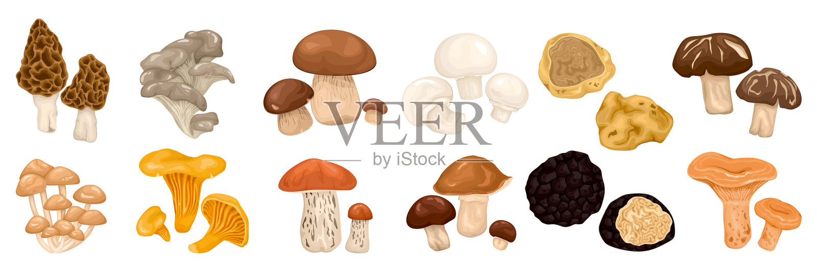 食用蘑菇卡通套装插画图片素材