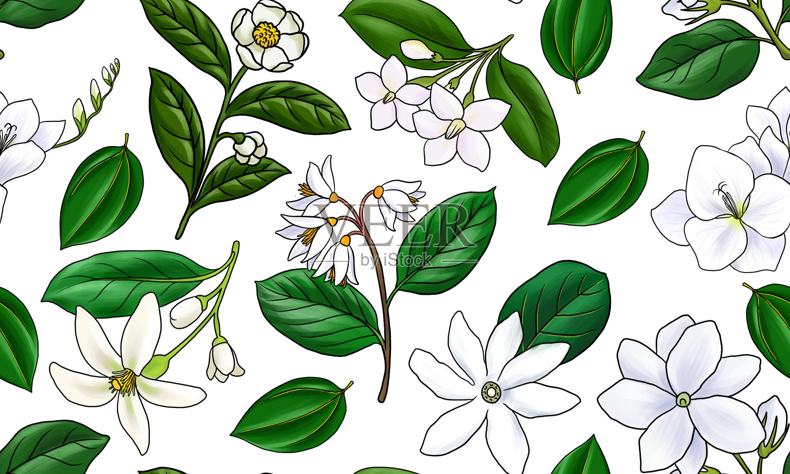 画无缝图案与花在白色的背景插画图片素材