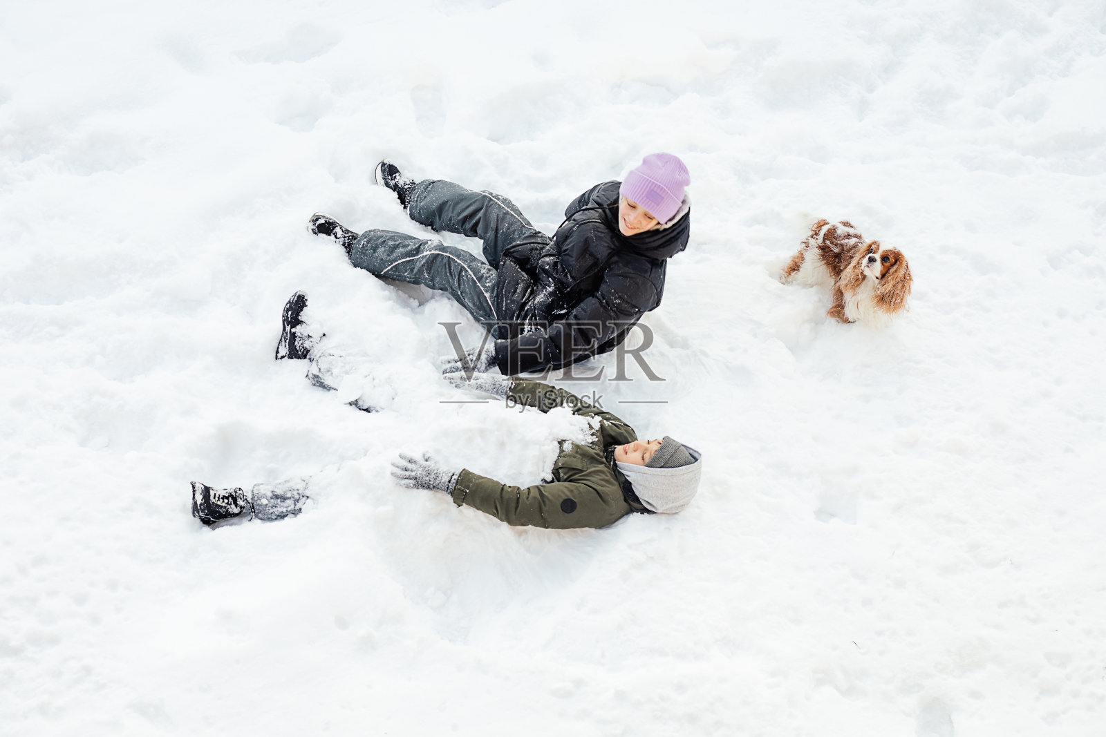 男孩和女孩，青少年。弟弟、妹妹沉溺于，躺在雪地里，在下雪天带着狗。在冬天，雪花飞向不同的方向，幸福，快乐，乐趣。照片摄影图片