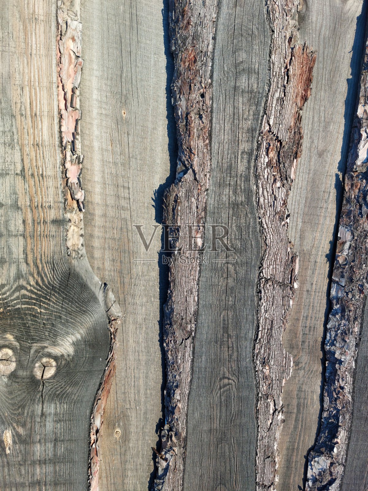 木材纹理背景打结硬木篱笆谷仓墙镶板自然图案和树脂树皮照片摄影图片