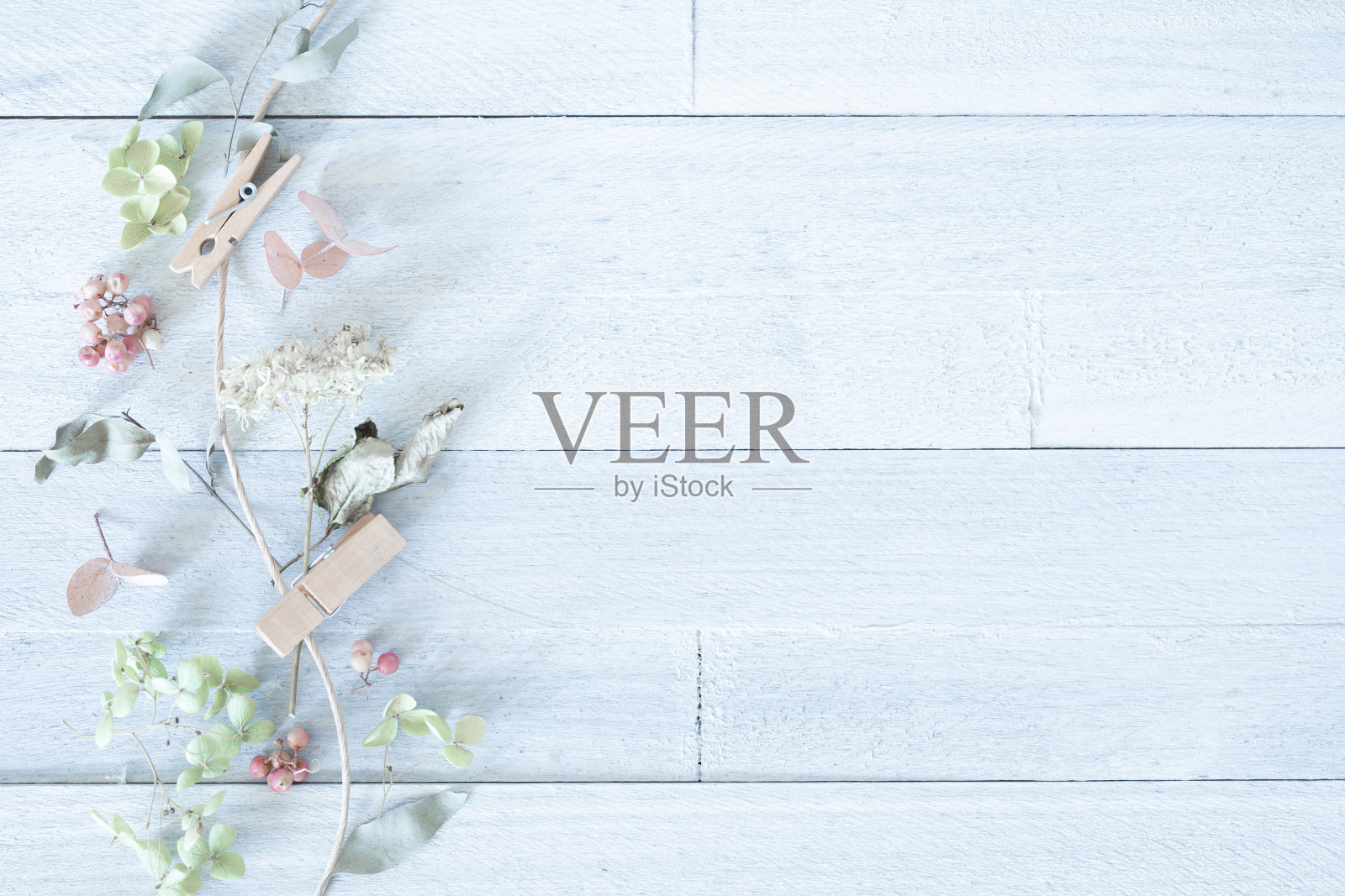 干花，天然植物和花卉背景。照片摄影图片