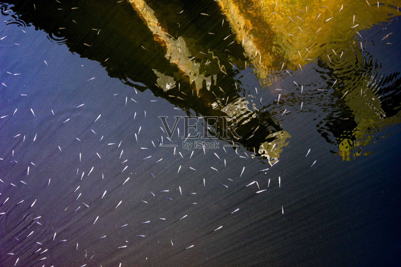 戈尔韦河照片摄影图片