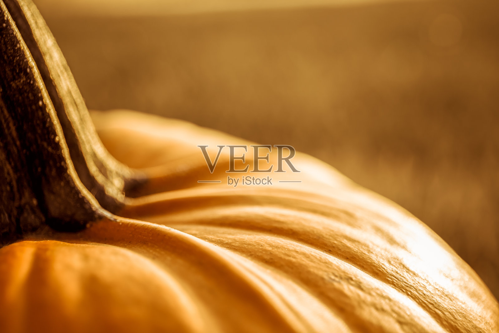 田野里的一个橙色大南瓜照片摄影图片